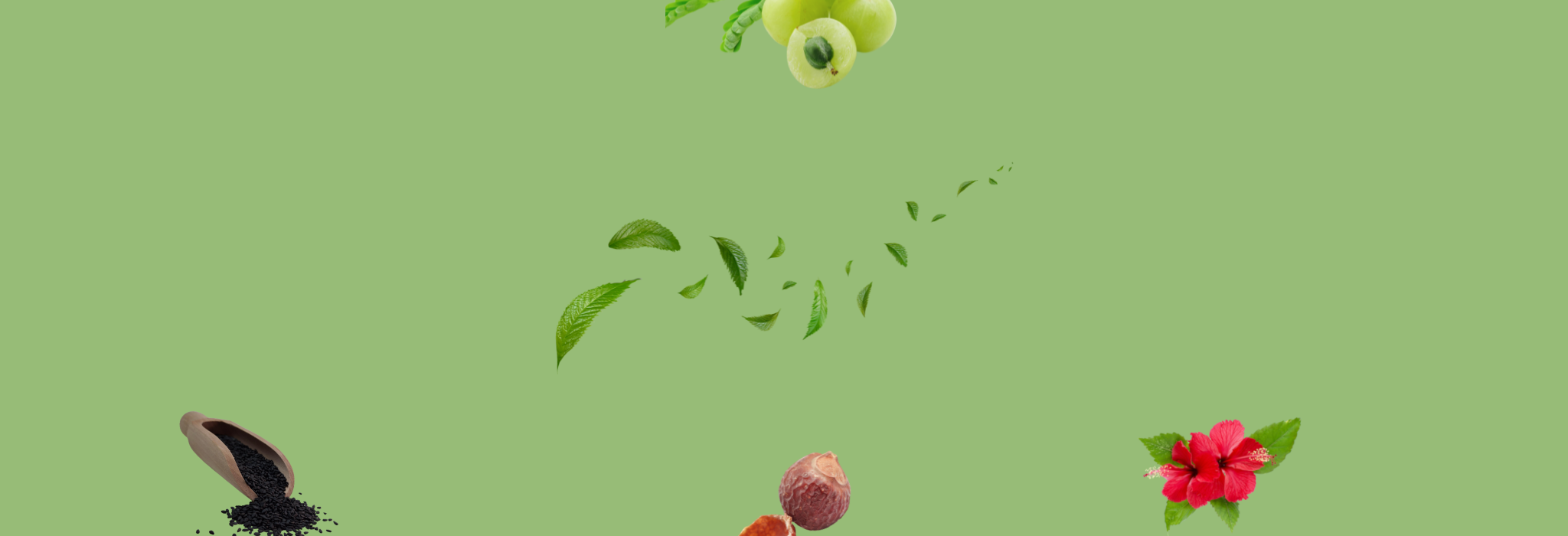Shyamkali Hair Oil Slider Background